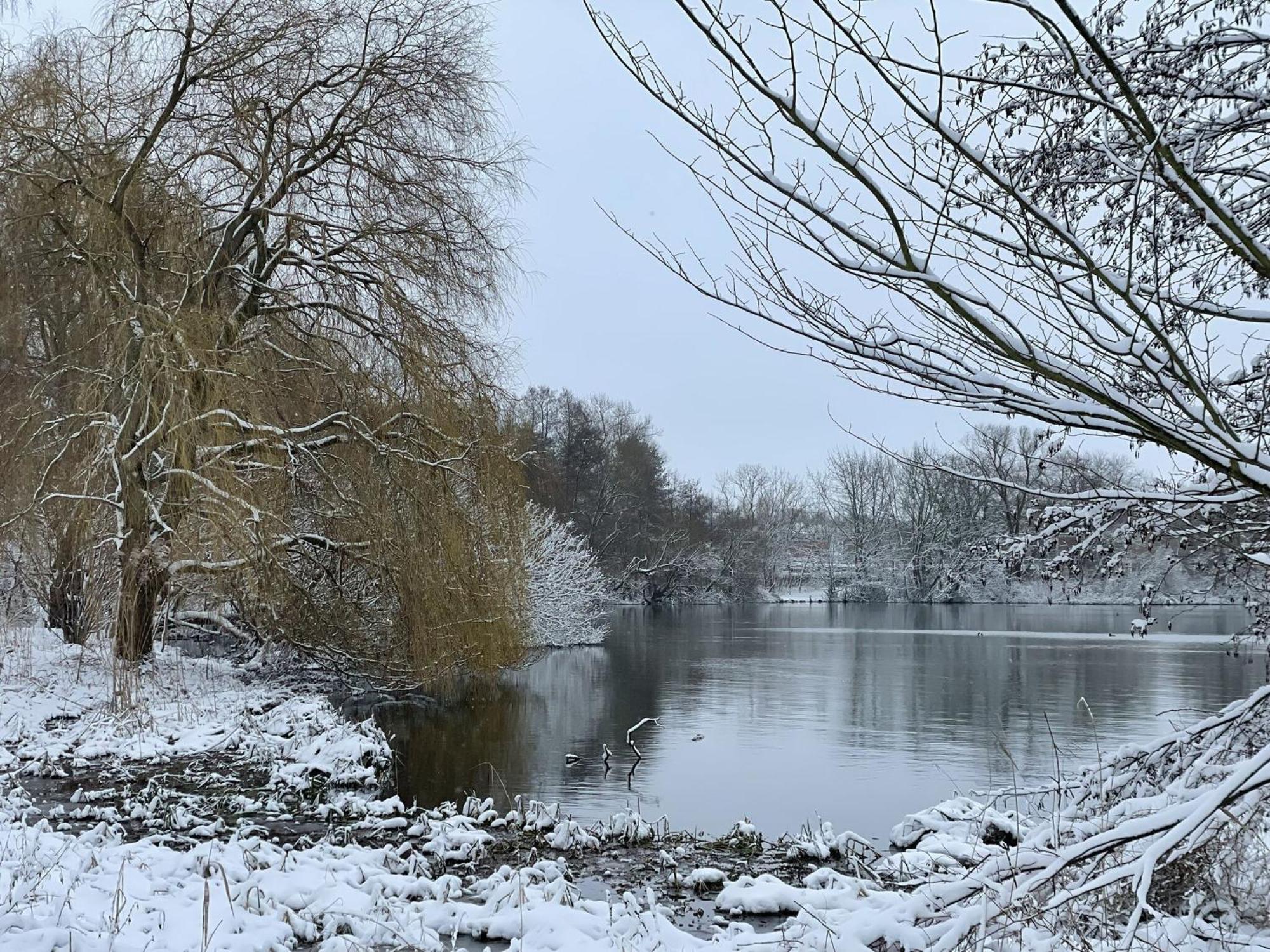 Flat In Eutin On The Kleiner Eutiner See Lake エクステリア 写真