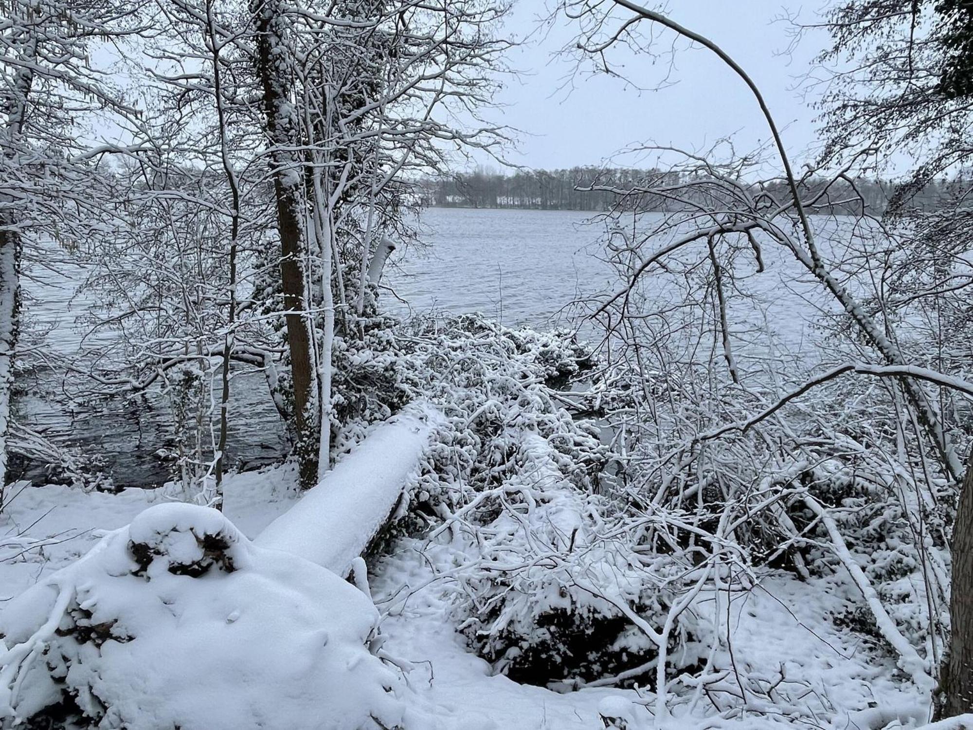 Flat In Eutin On The Kleiner Eutiner See Lake エクステリア 写真