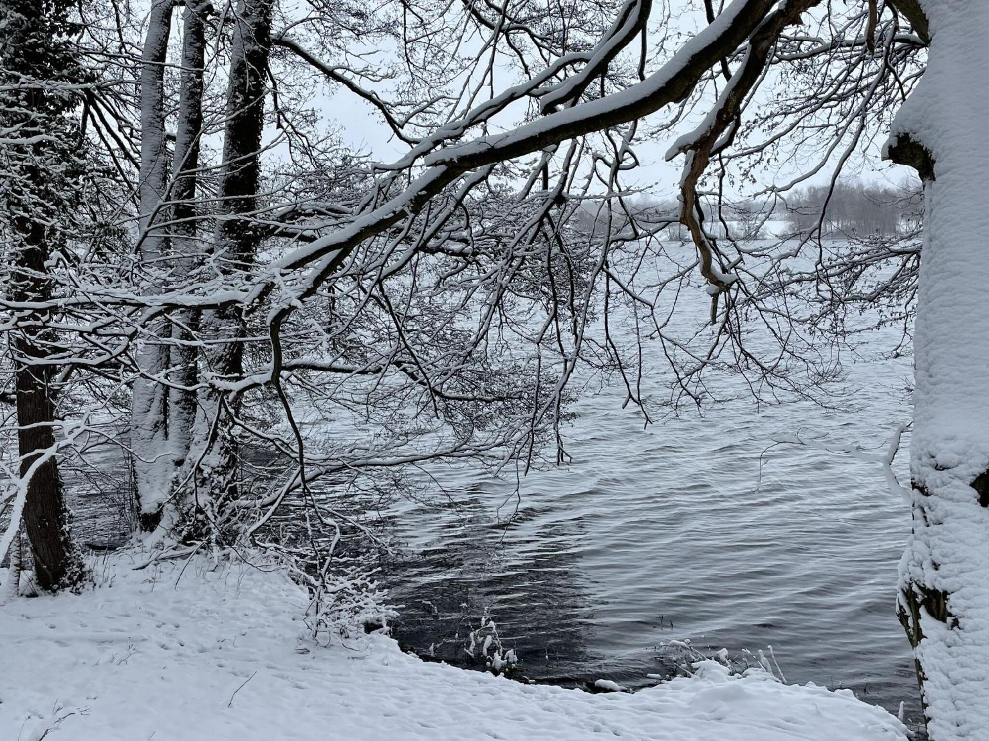 Flat In Eutin On The Kleiner Eutiner See Lake エクステリア 写真