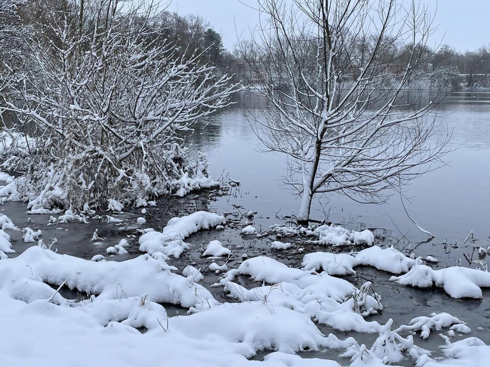 Flat In Eutin On The Kleiner Eutiner See Lake エクステリア 写真