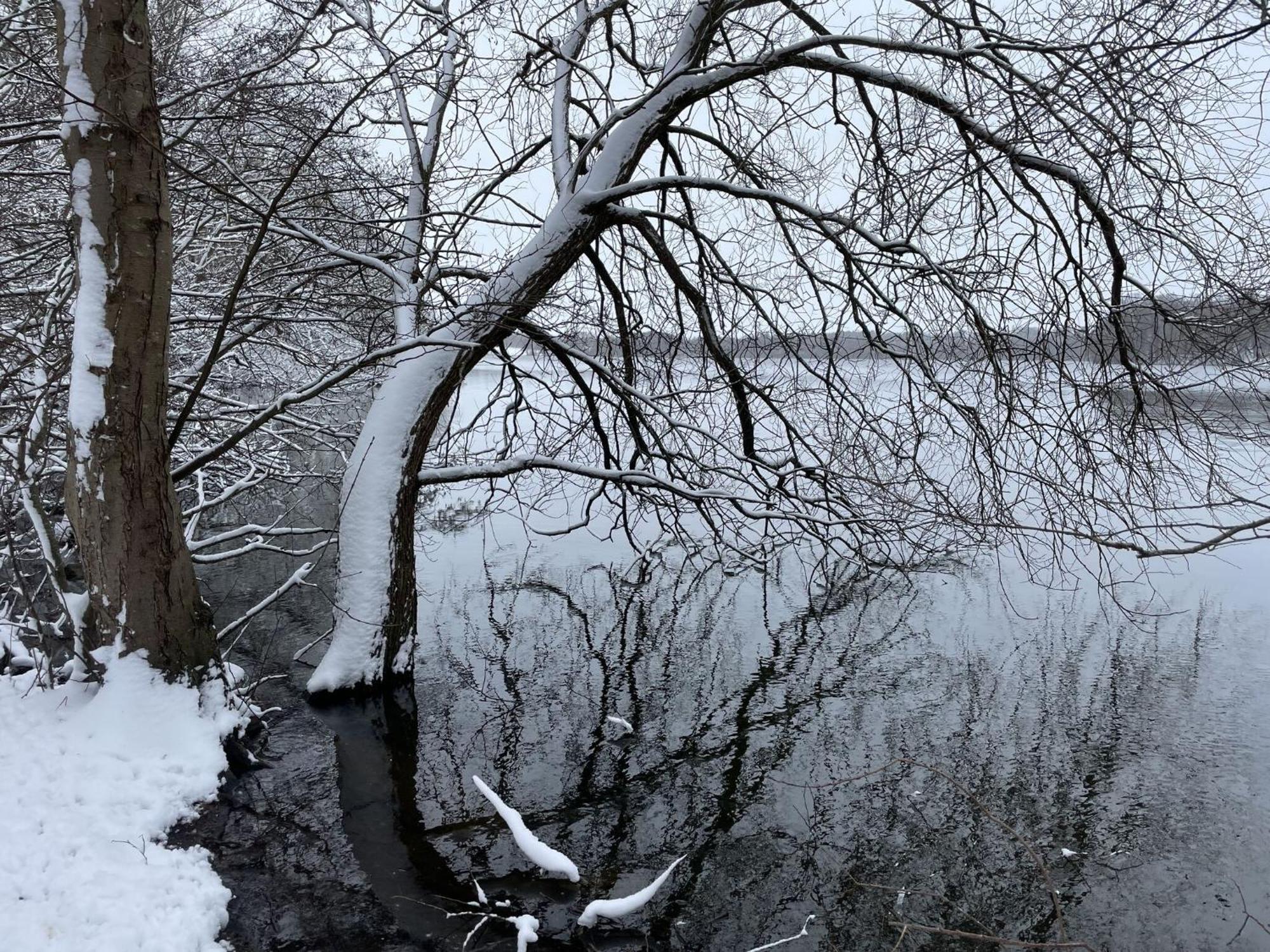 Flat In Eutin On The Kleiner Eutiner See Lake エクステリア 写真