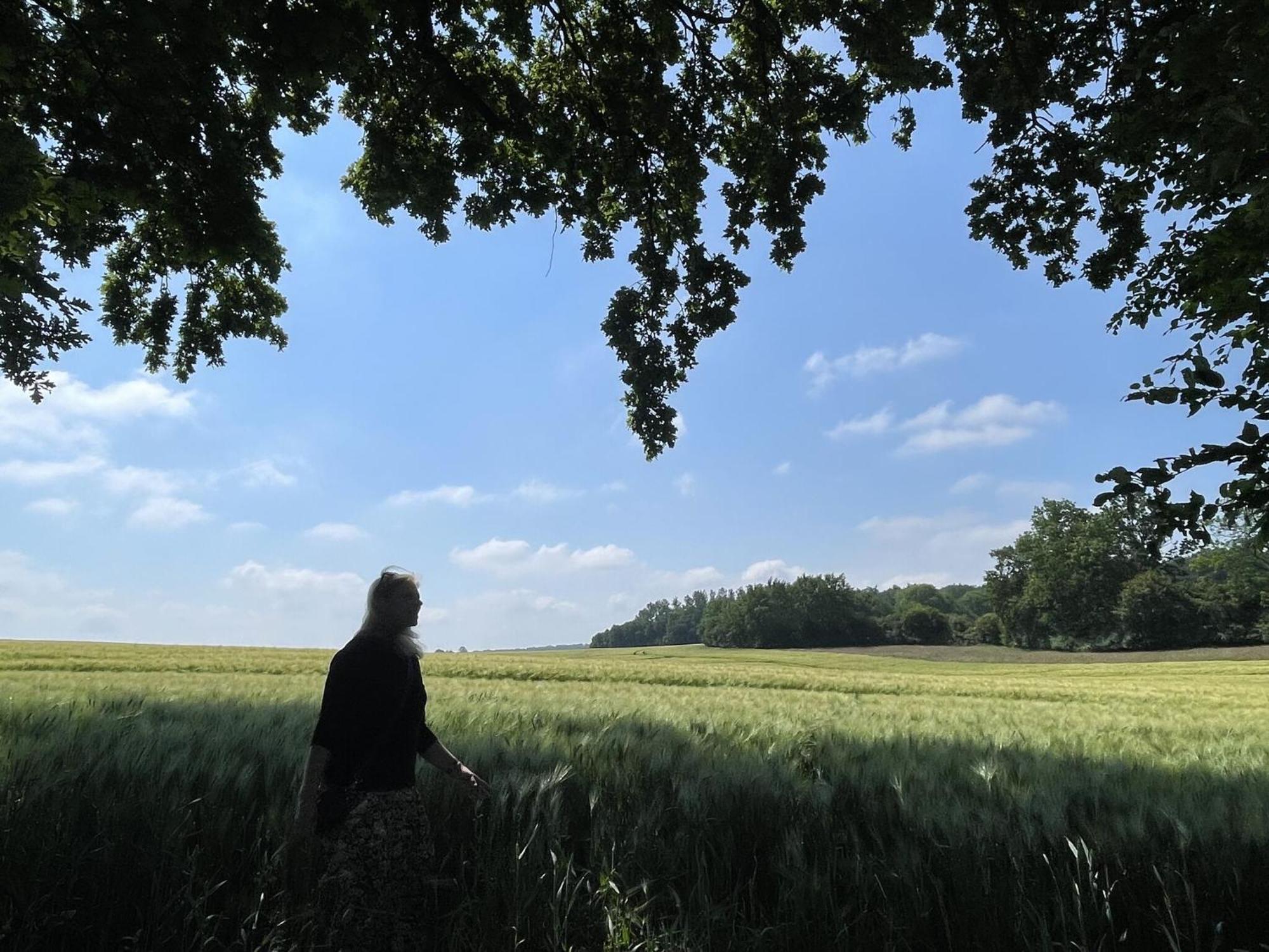 Flat In Eutin On The Kleiner Eutiner See Lake エクステリア 写真