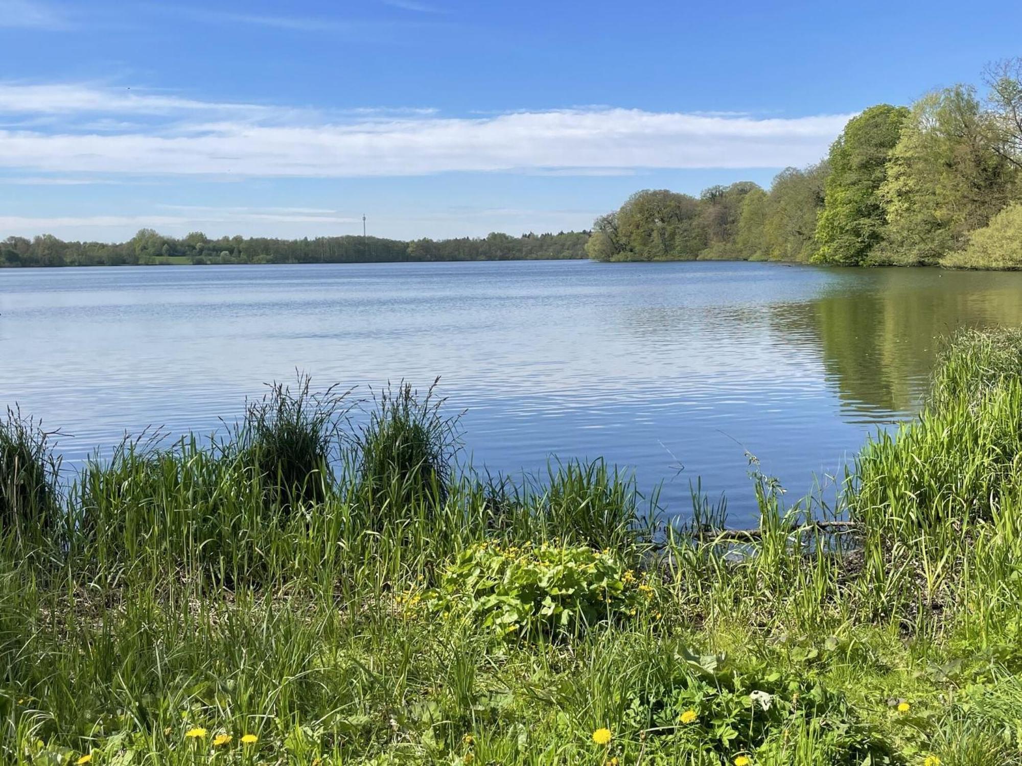 Flat In Eutin On The Kleiner Eutiner See Lake エクステリア 写真