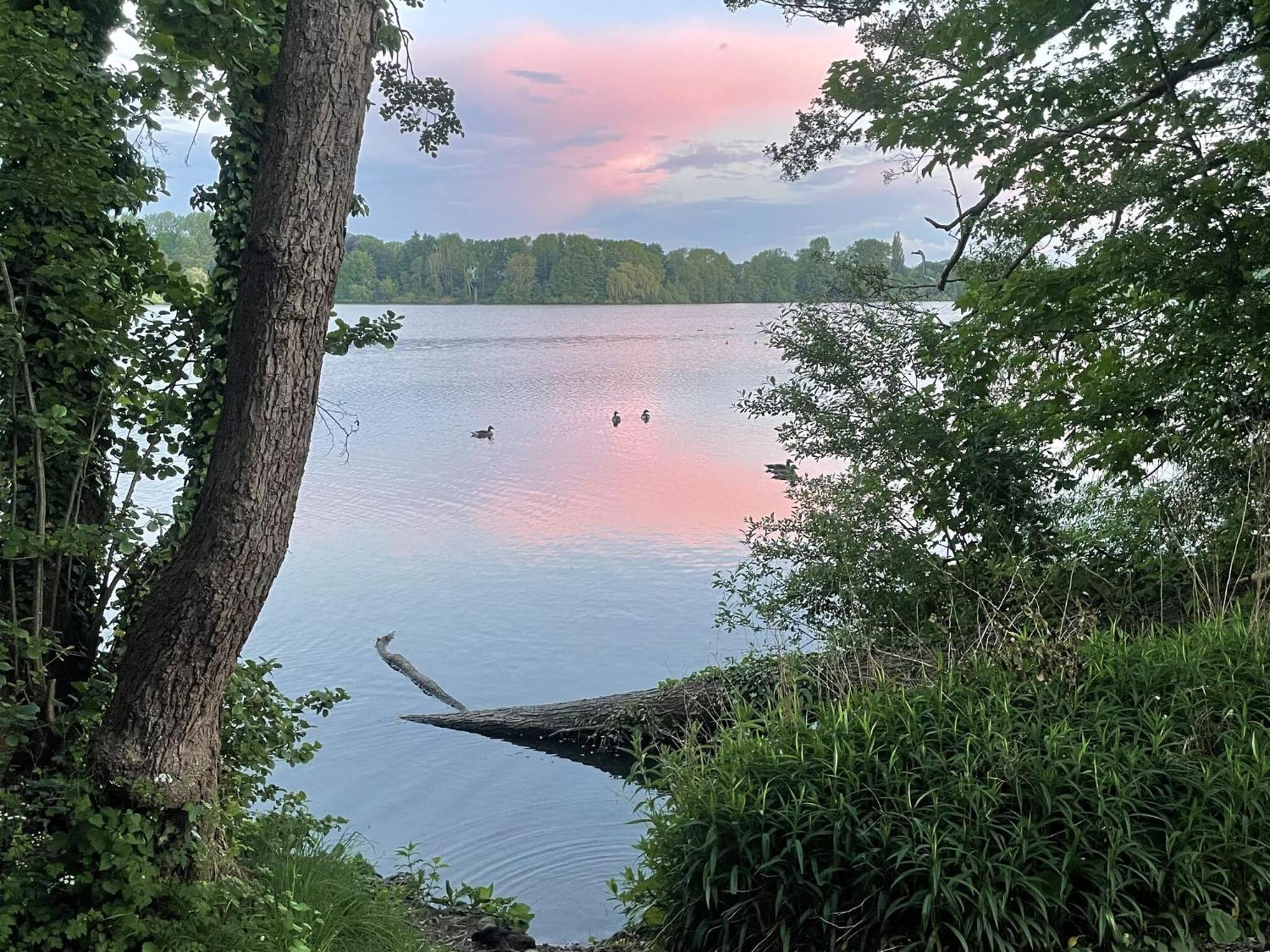 Flat In Eutin On The Kleiner Eutiner See Lake エクステリア 写真